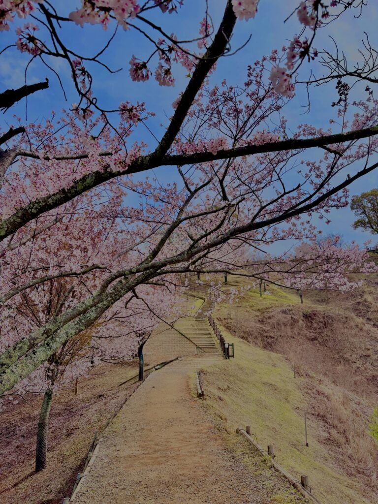 奈良