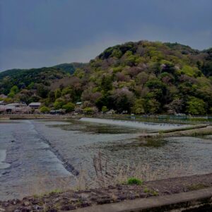 保津川