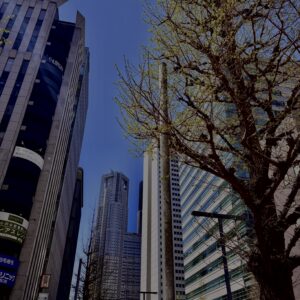 新宿