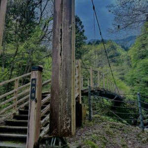 大柳川