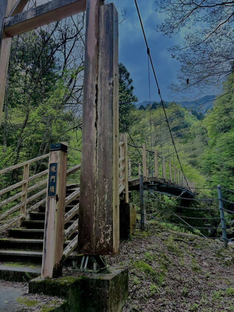 大柳川