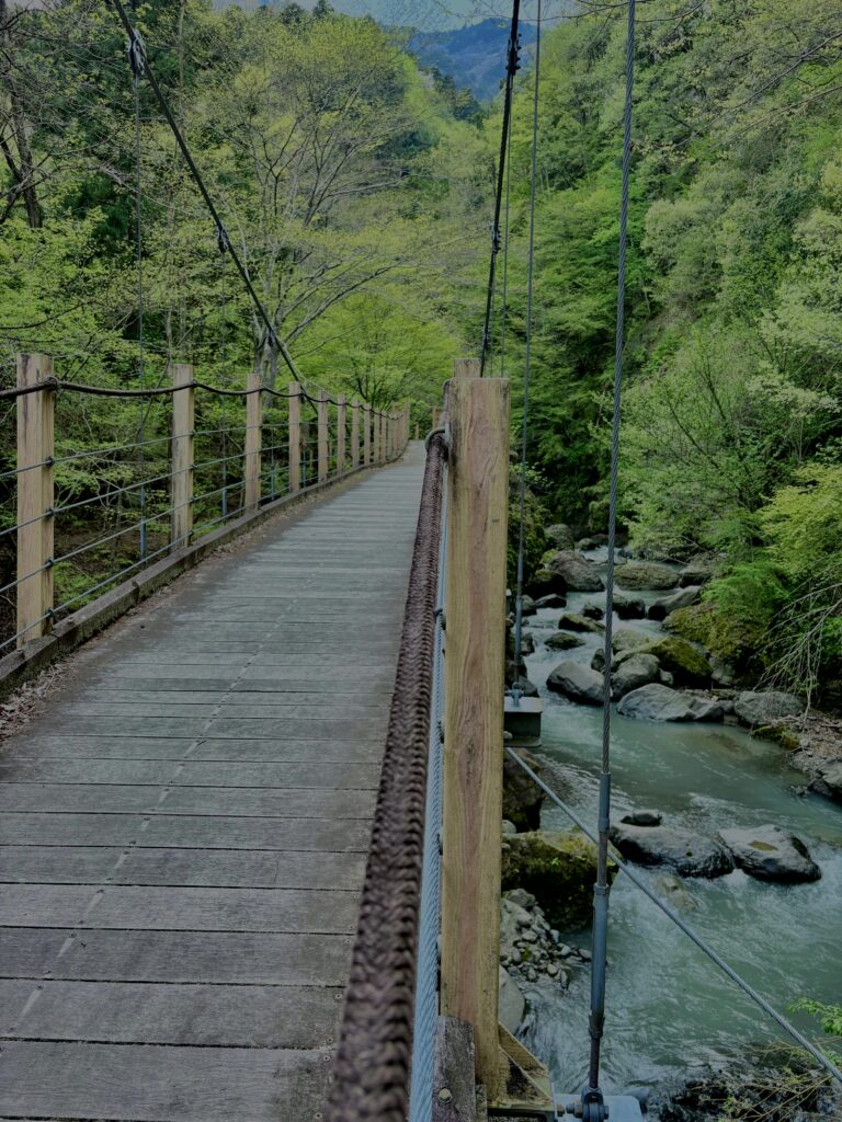 大柳川渓