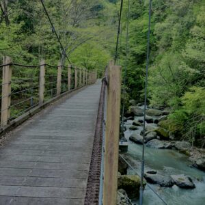 大柳川
