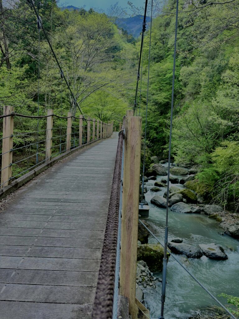 大柳川
