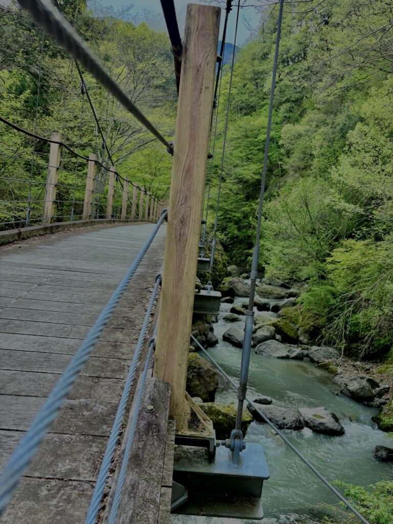 大柳川渓谷,山梨,山,森林,富士川町,渓流公園,吊り橋,