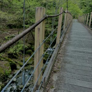 大柳川