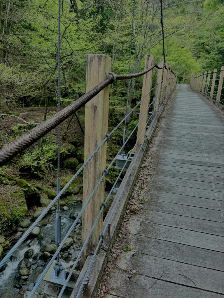 大柳川