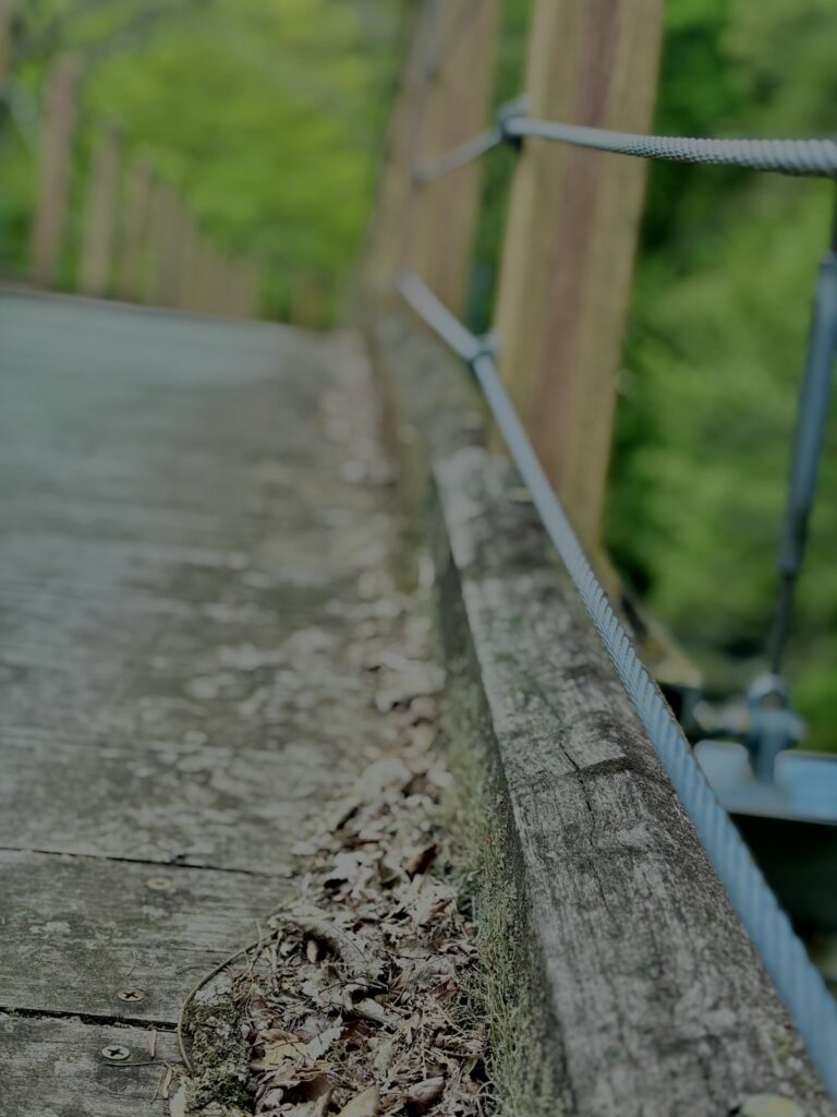 大柳川