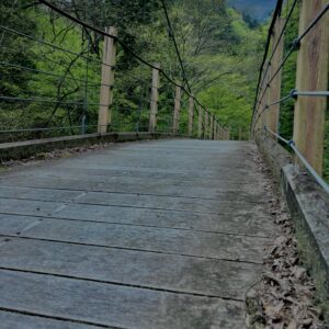 大柳川