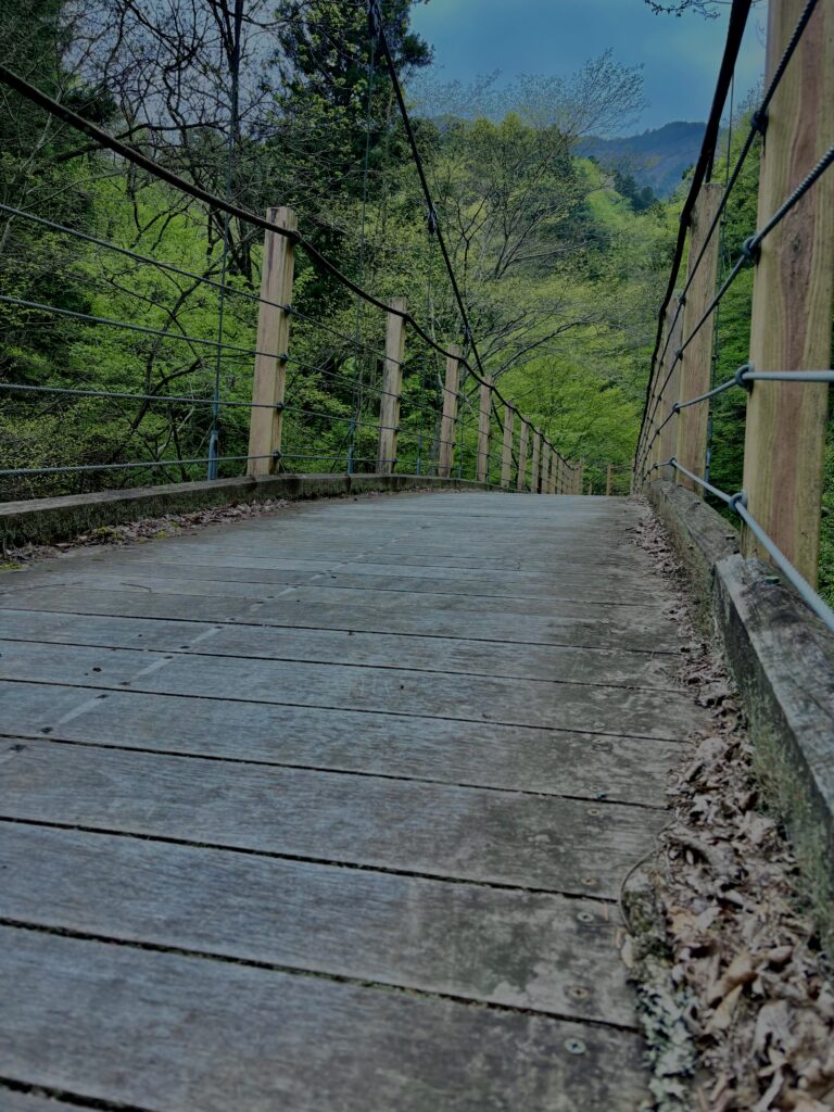 大柳川