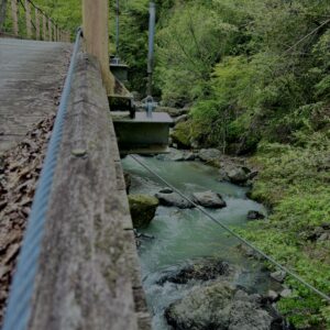 大柳川