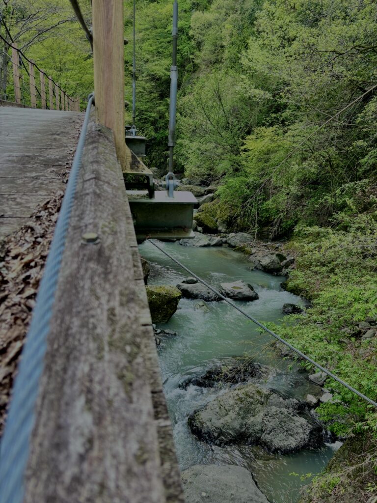 大柳川