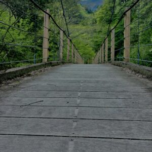 大柳川