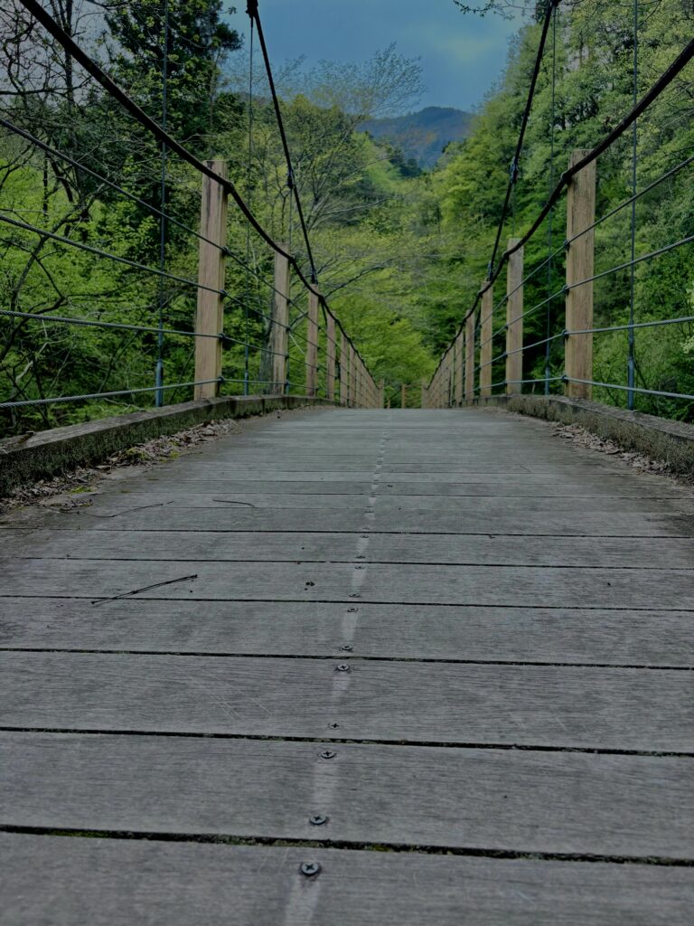大柳川