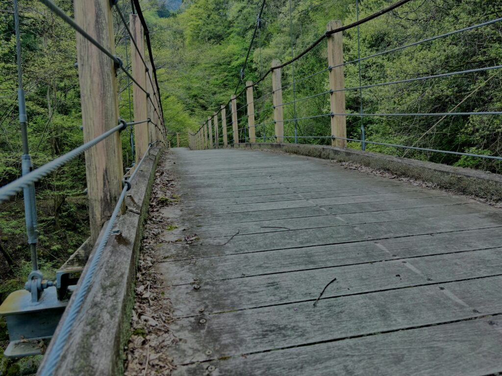 大柳川