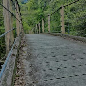大柳川