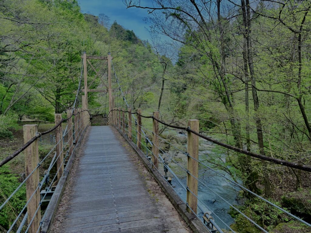 大柳川