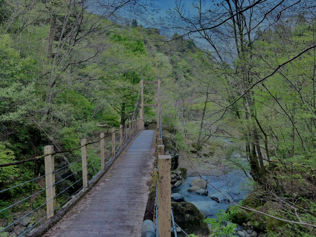 大柳川