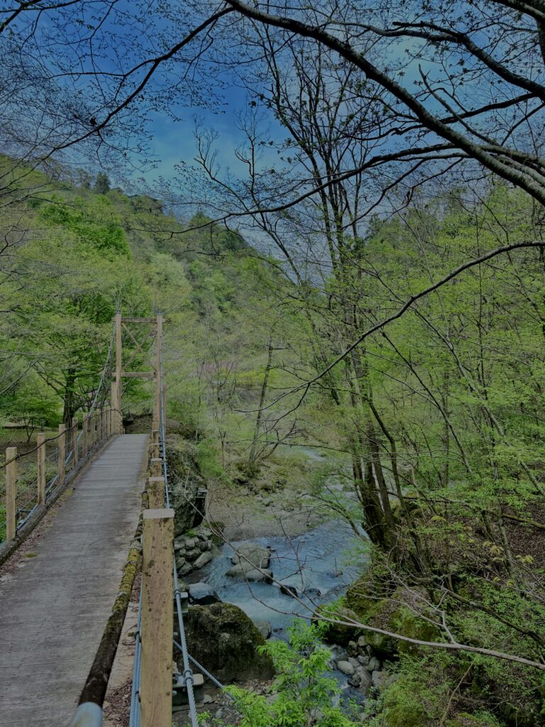 大柳川