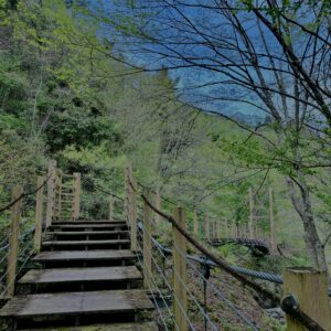 大柳川