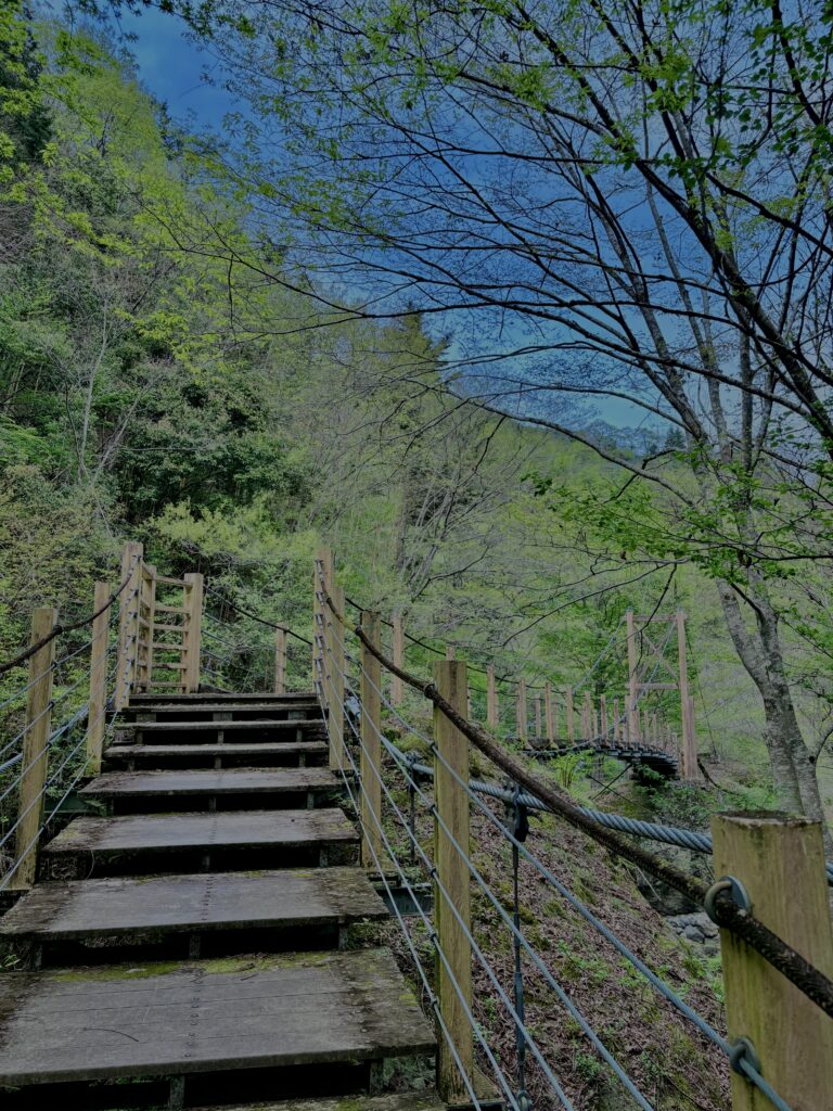 大柳川