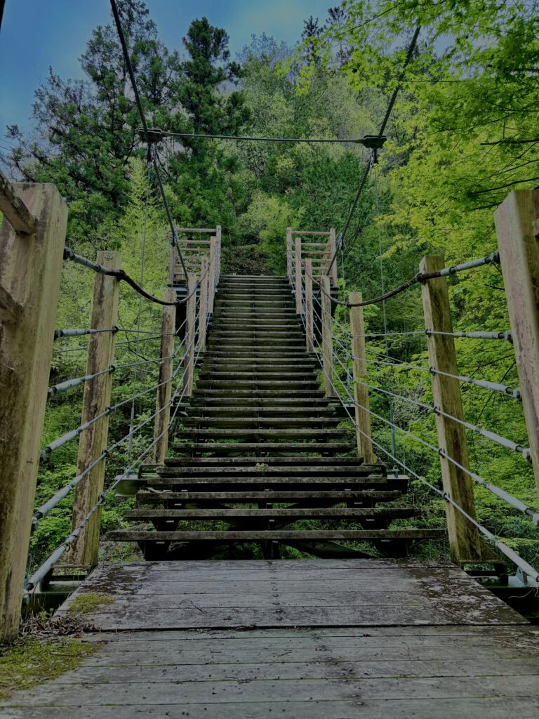 大柳川
