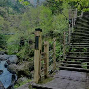 大柳川