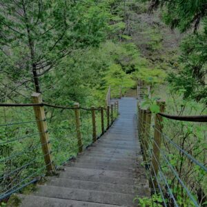大柳川