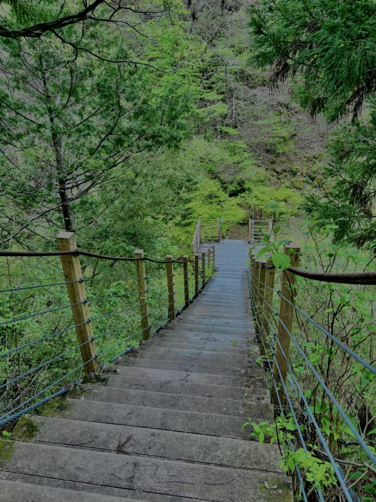 大柳川