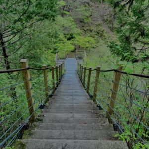 大柳川