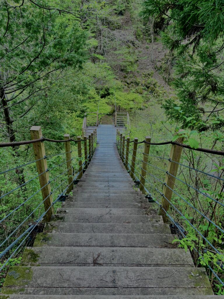 大柳川