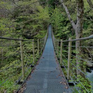 大柳川渓