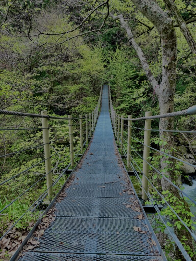 大柳川渓