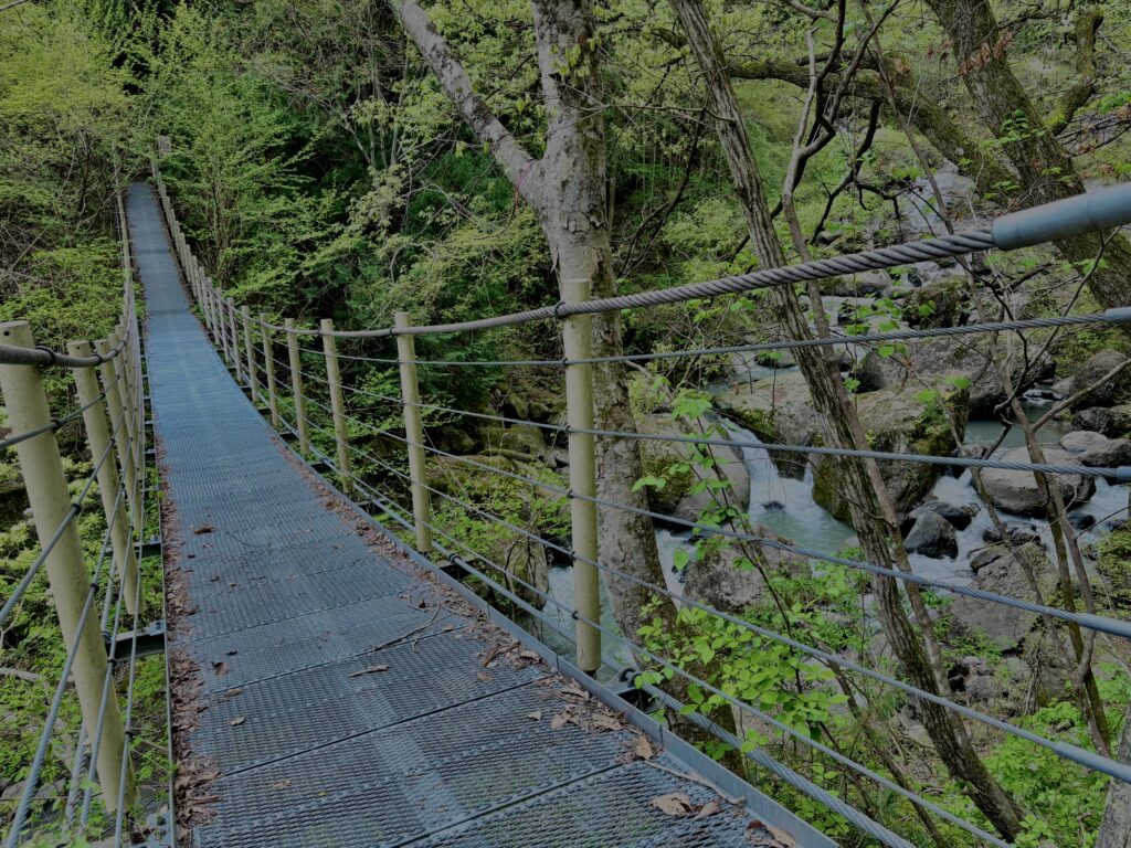 大柳川