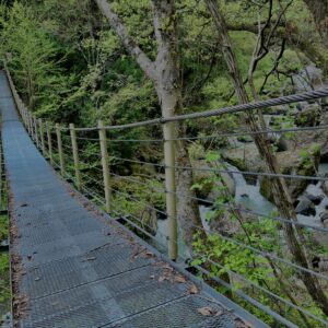 大柳川
