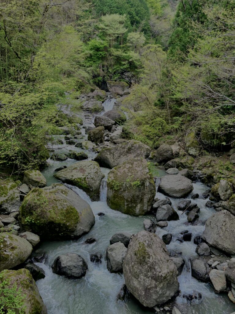 大柳川