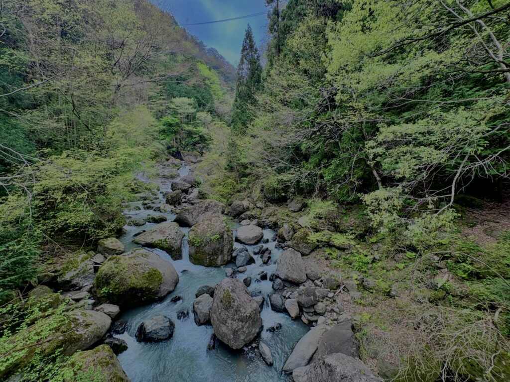 大柳川渓谷,山梨,山,森林,富士川町,渓流公園,吊り橋,