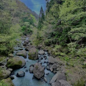 大柳川渓谷,山梨,山,森林,富士川町,渓流公園,吊り橋,
