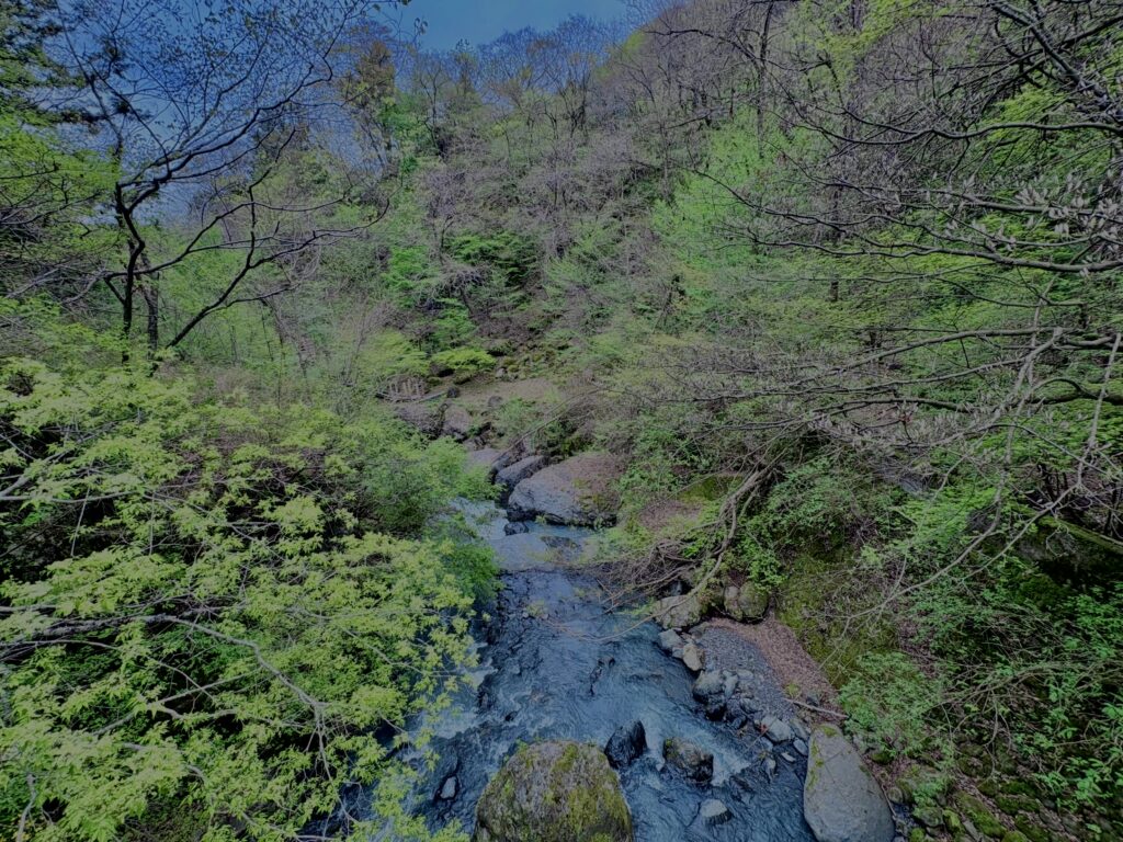 大柳川