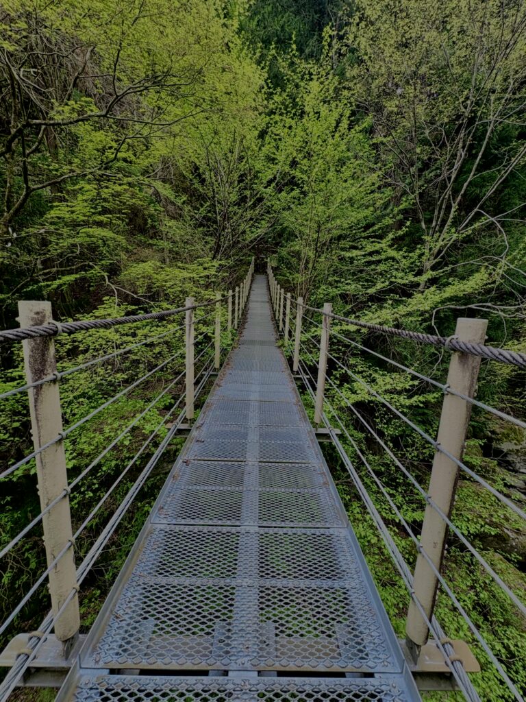 大柳川