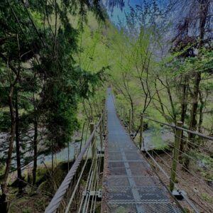 大柳川渓谷,山梨,山,森林,富士川町,渓流公園,吊り橋,