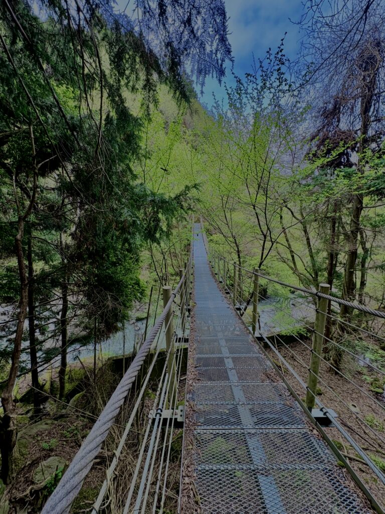 大柳川渓谷,山梨,山,森林,富士川町,渓流公園,吊り橋,