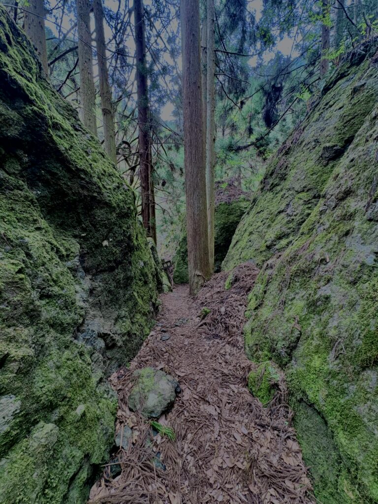 大柳川渓谷,山梨,山,森林,富士川町,渓流公園,吊り橋,