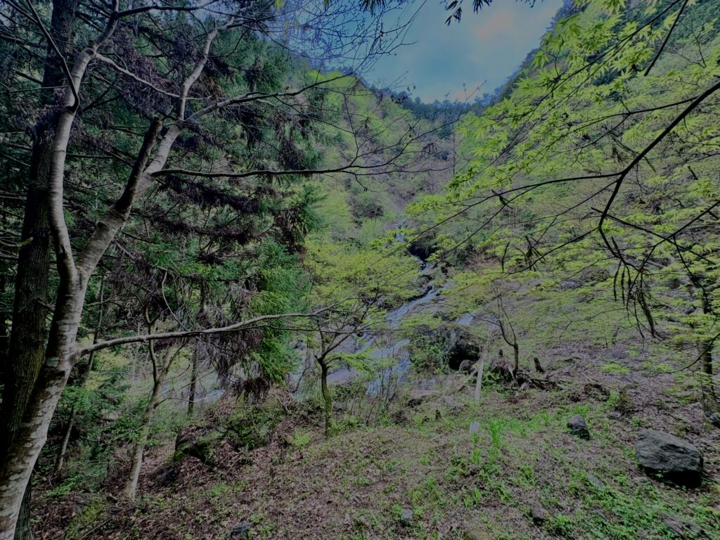 大柳川