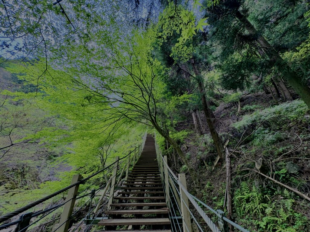 大柳川渓谷,山梨,山,森林,富士川町,渓流公園,吊り橋,