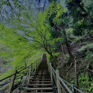大柳川渓谷,山梨,山,森林,富士川町,渓流公園,吊り橋,