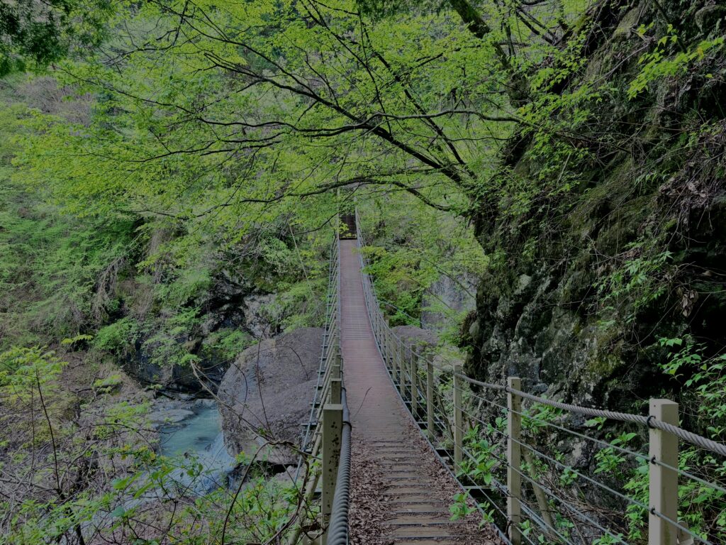 大柳川