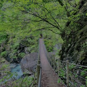 大柳川