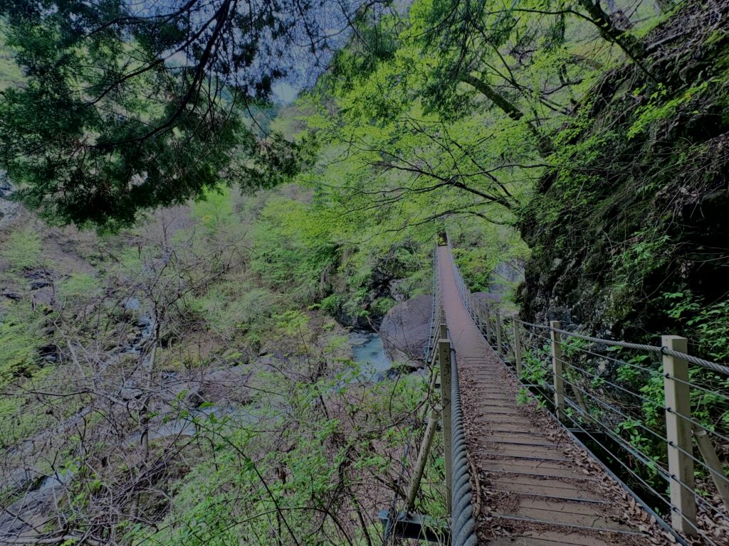大柳川