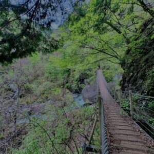 大柳川
